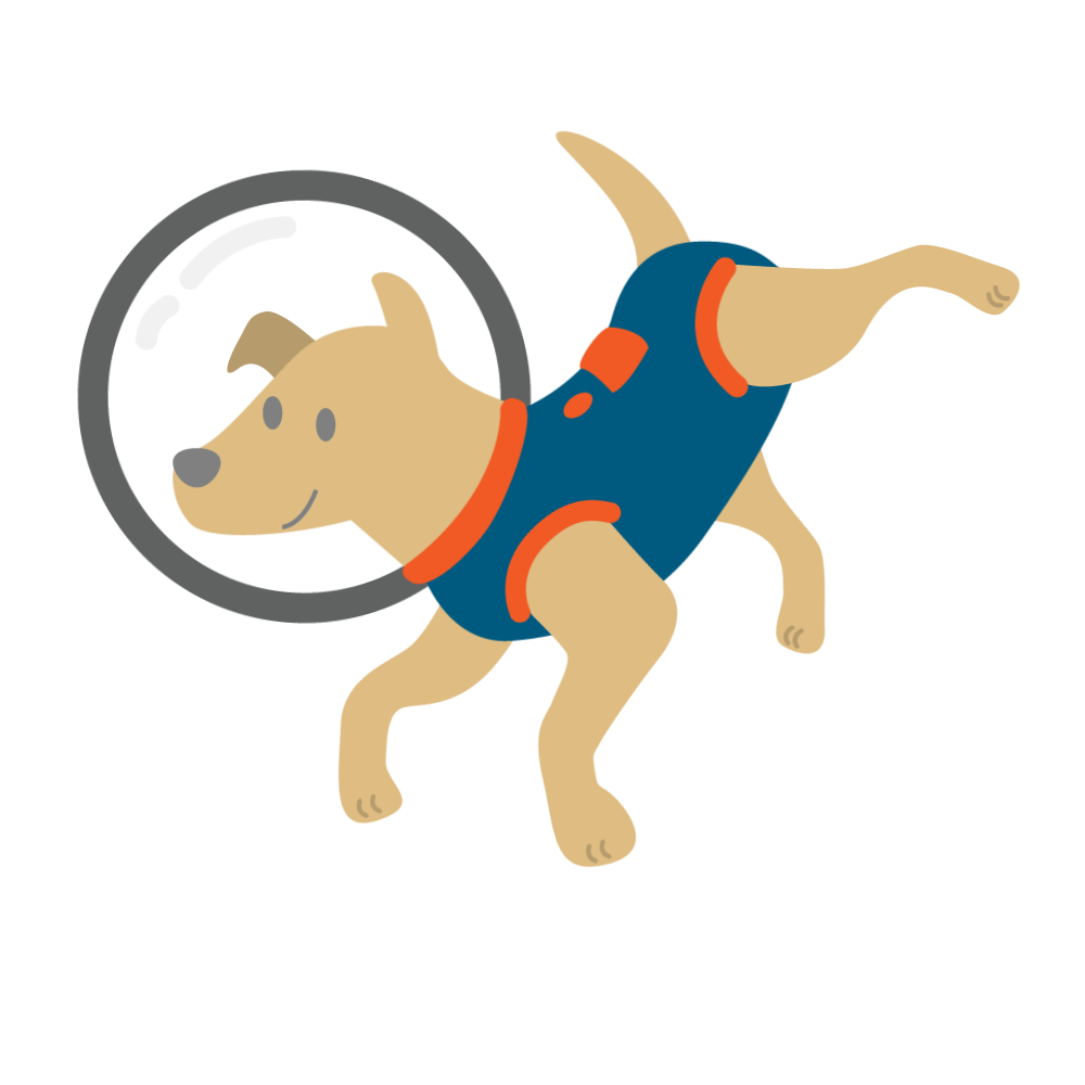 Astronaut Dog Gif